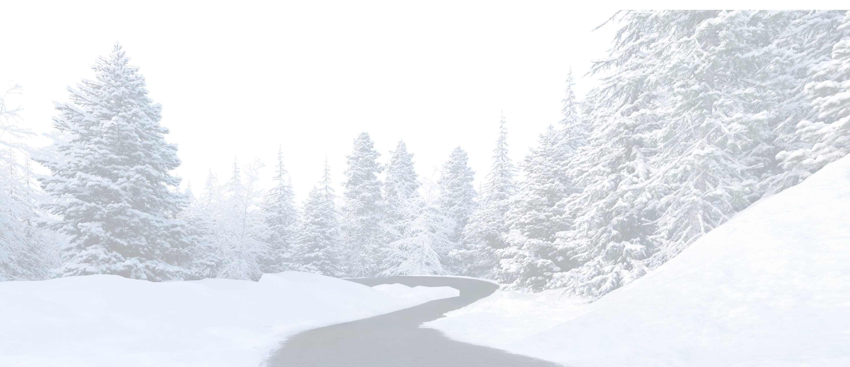 Ghosted winter scene with snowy trees and a road.