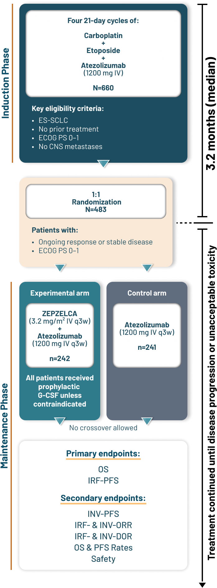 Diagram showing the induction, randomization, and maintenance phases, with key eligibility criteria, treatment arms, and primary/secondary endpoints.