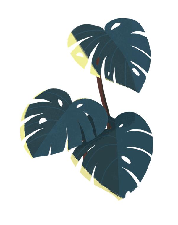 Illustration of a potted plant with large fronds.