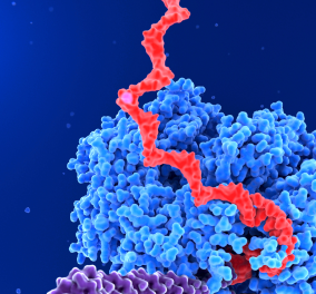 Illustration of tumor DNA.
