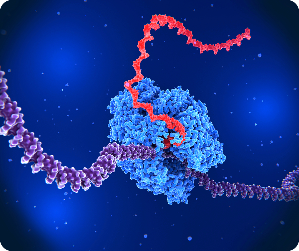 Illustration of tumor DNA.